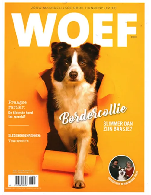 Woef - 698 2022