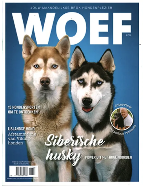 Woef - 704 2022