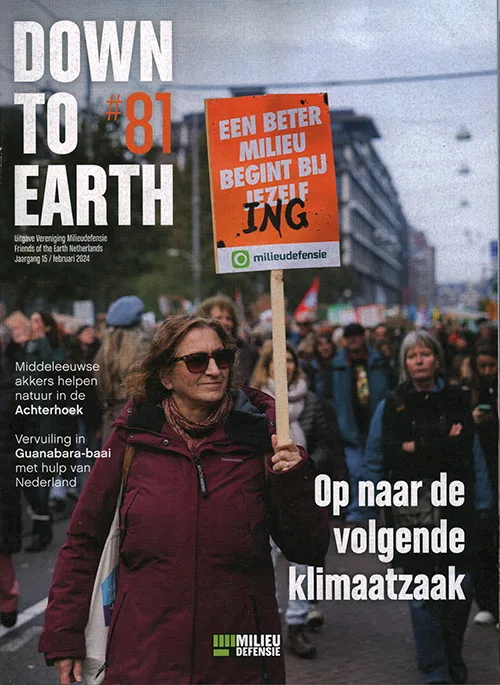 Down to Earth - 81 2024