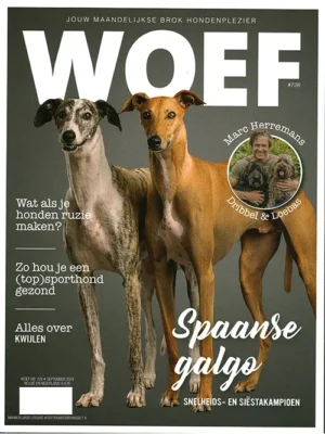 Woef - 728 2024