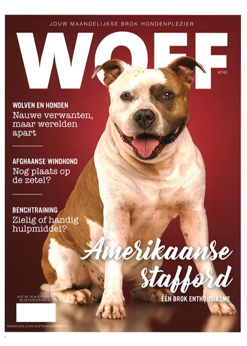 Woef - 740 2025
