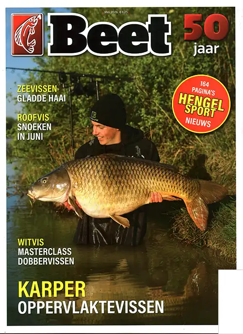 Beet - 03 2026
