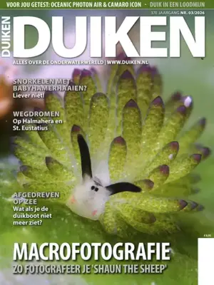 Duiken - 03 2026