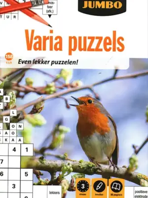 Sanders Jumbo Varia Puzzels - 158 2026