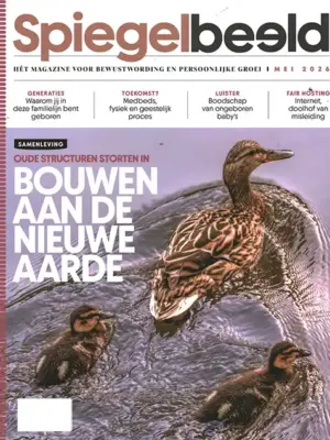 Spiegelbeeld - 4 2026