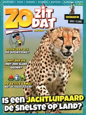 Zo zit dat - 06 2026