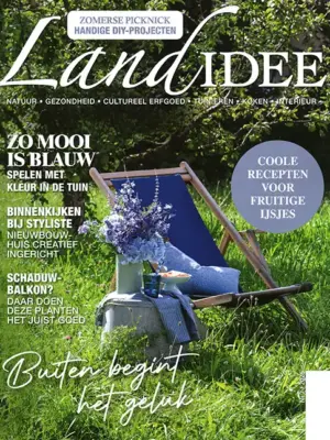Landidee - 07 2026