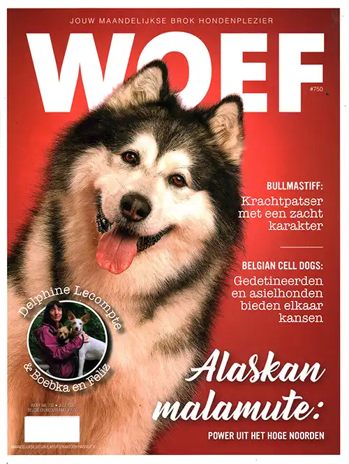 Woef - 750 2026