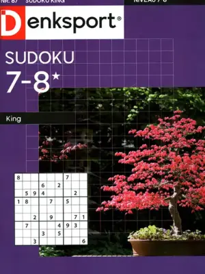 Denksport Sudoku King - 87 2026