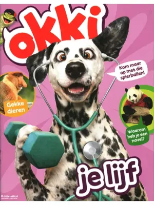 Okki - 08 2026