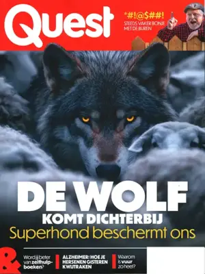Quest - 279 10 2026