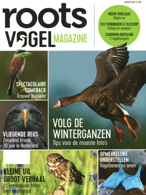 Roots Vogelmagazine - 02 2026