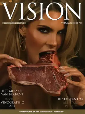 Vision - 64 2026
