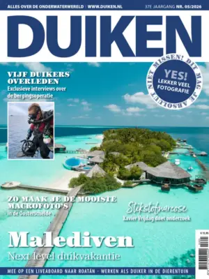 Duiken-05-2026
