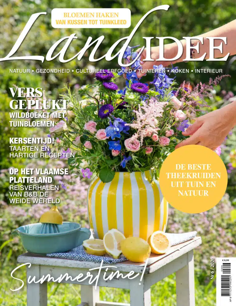 LandIdee-06-2026