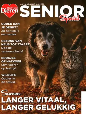 Hart voor Dieren senior special - 09 2026